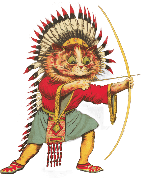 A Native American cat practicing archery