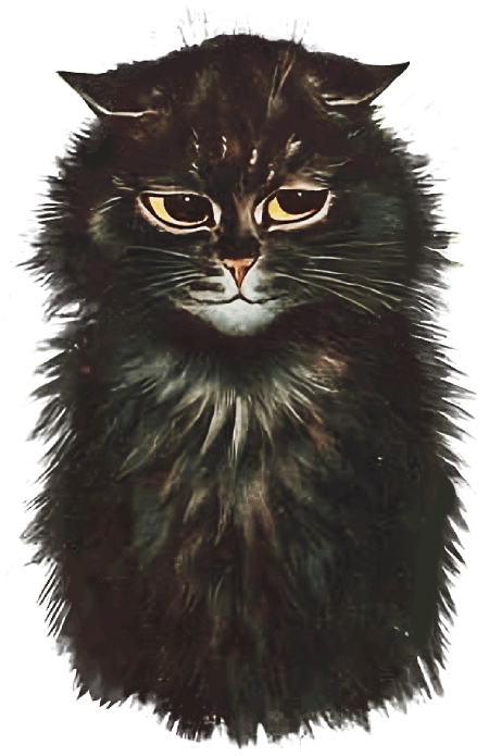 A Wain drawing of a black persian, possibly modelled after 